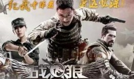 战狼2 在线观看完整版,燃情热血，震撼视听的国产军事巨制！
