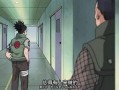 鹿丸爆料在哪里看视频,独家视频观看指南大公开