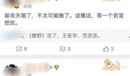 小王最新爆料新闻视频,最新爆料新闻视频深度解析
