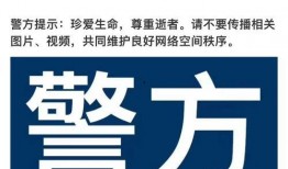 成都视频消费爆料公司电话,电话追踪背后的真相