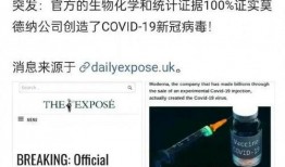 新冠病毒 新闻爆料最新,突破性疗法与防控策略揭晓
