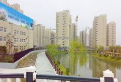 桃园新城最新爆料新闻,揭秘神秘项目背后的惊人真相