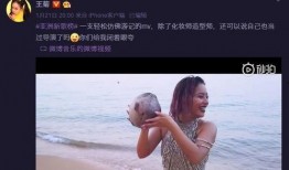 王家大姐爆料视频播放全集,惊人内幕大公开